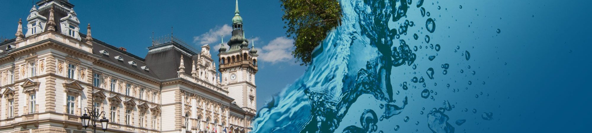 Voda ve veřejných institucích